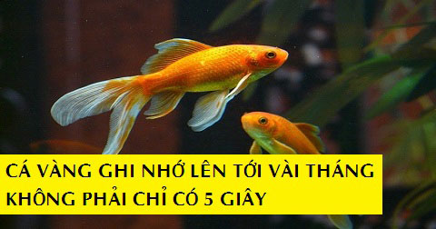 24 \"sự thật\" rất nhiều người vẫn thường hiểu sai