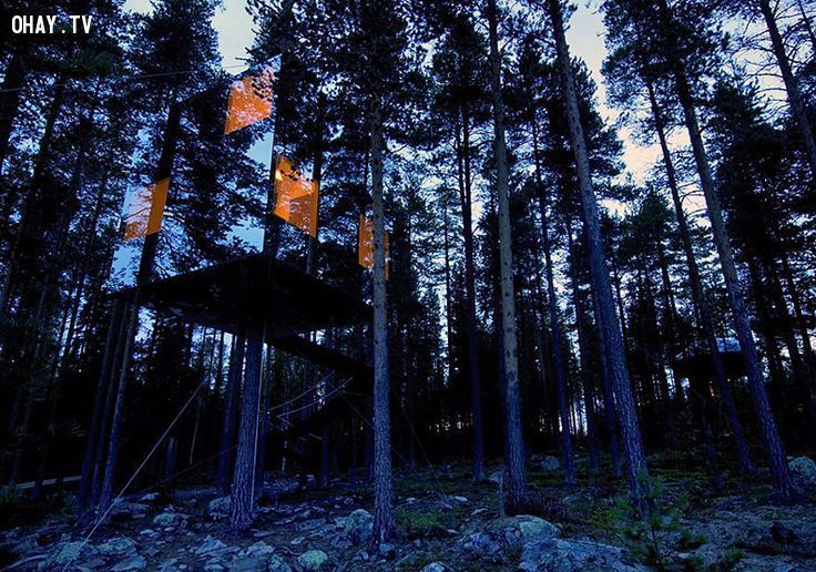 Nhà cây bằng gương tại Thụy Điển
