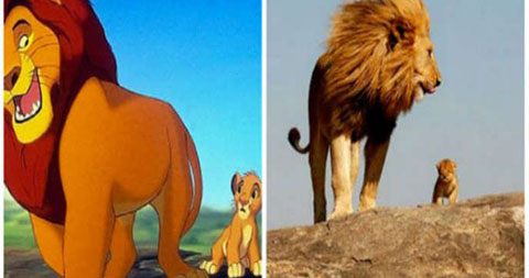 Khi hình ảnh đời thực được đưa vào phim hoạt hình \"The Lion King\"