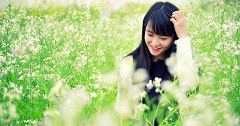 Cánh Đồng Hoa Cải trong nắng cuối đông