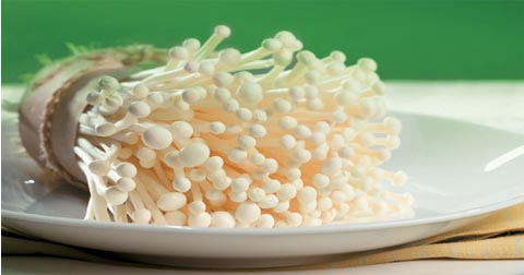 Phương pháp tự trồng nấm kim châm tại nhà hiệu quả nhất