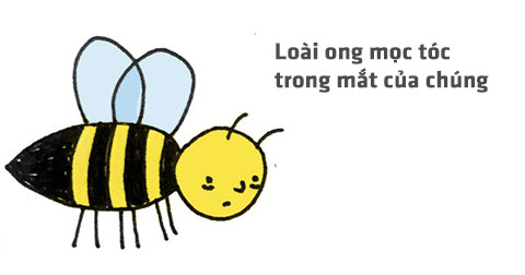 Những sự thật thú vị về các loài động vật
