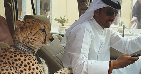 27 hình ảnh bạn chỉ có thể thấy ở Dubai