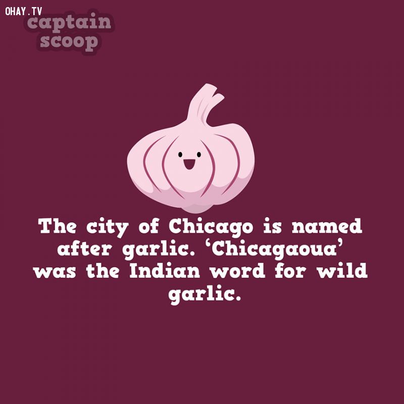Chicago được đặt tên theo tỏi