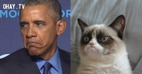 Lý do vì sao Obama là Tổng Thống tệ hại nhất trong lịch sử nước Mỹ