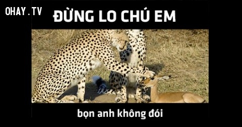 Những bí quyết đơn giản giúp bạn có một cuộc sống không lo âu