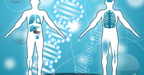 100 bí mật thú vị về con người bạn chưa biết (Phần 2)