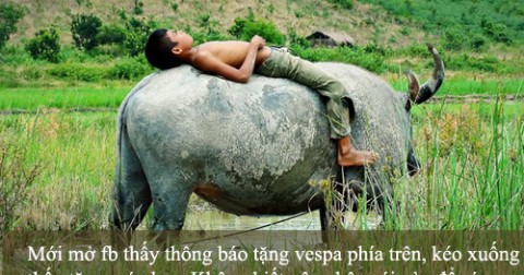 Loạt ảnh chế hài hước cư dân mạng sập bẫy câu like, trúng quà