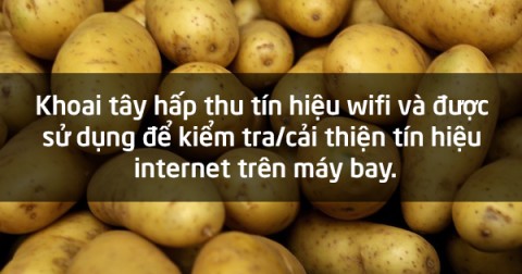 15 sự thật đáng kinh ngạc về thực phẩm có thể bạn chưa biết