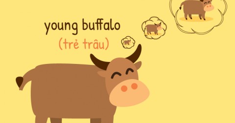 Khi tiếng Anh bị Việt Nam hóa