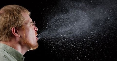 25 sự thật thú vị về giấc ngủ có thể bạn chưa biết