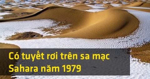 Vòng quanh thế giới với 35 sự kiện kì lạ có thể bạn chưa biết