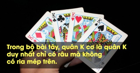 Mách bạn 20 sự thật thú vị không ngờ