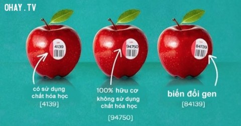 Đừng bao giờ mua những loại trái cây có mã code bắt đầu bằng số 8.