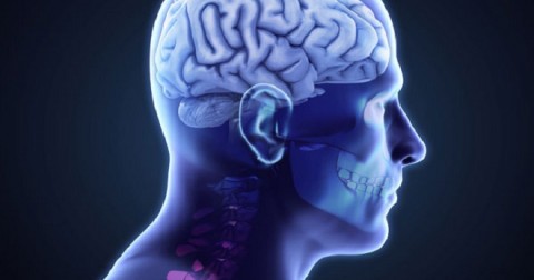 7 điều thú vị có thể bạn chưa biết về cơ thể mình