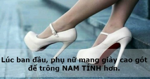 10 sự thật thú vị về phụ nữ