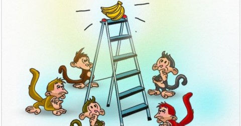 Thí nghiệm vui phản ánh đúng thực trạng xã hội