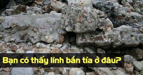 Thử tài tinh mắt: Truy tìm lính bắn tỉa