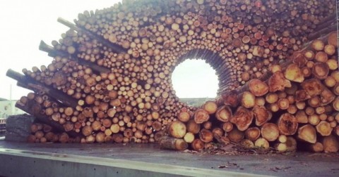 20 bức ảnh dành cho những ai yêu thích sự hoàn hảo
