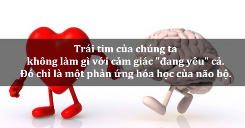 12 sự thật tâm lý học đáng kinh ngạc có thể bạn chưa biết