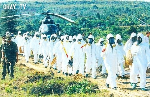 ,formosa,ô nhiễm môi trường,phá hủy môi trường