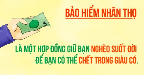 Chết cười với 11 định nghĩa siêu đúng siêu hài