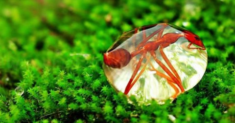 15 hình ảnh thiên nhiên tuyệt vời từ thế giới của chúng ta