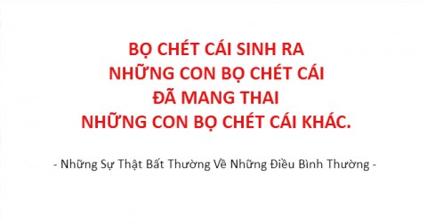 Những sự thật bất thường về những điều bình thường