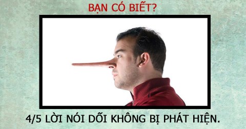 24 sự thật đáng kinh ngạc có thể bạn chưa biết