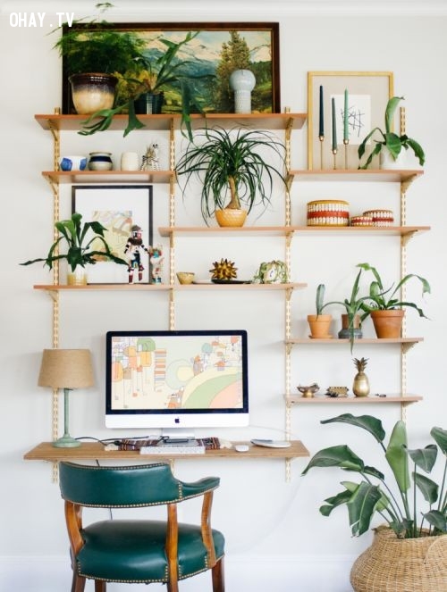 7 Cách trang trí nhà cửa với cây xanh - Orchid Le