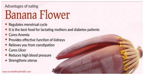 6 Công dụng trị bệnh của bắp chuối
