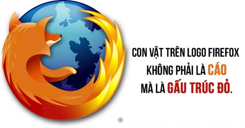 20 sự thật vô cùng thú vị có thể bạn chưa biết