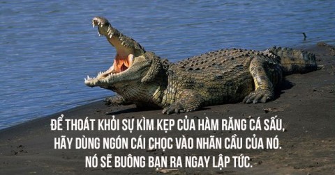 23 sự thật vô cùng thú vị có thể bạn chưa biết