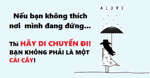 7 câu nói đầy sức mạnh vực bạn dậy khi cuộc sống trở nên khó khăn
