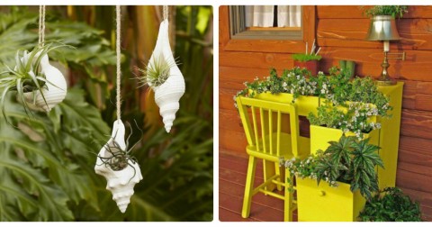 12 ý tưởng tuyệt vời để tạo ra khu vườn thẳng đứng trong nhà bạn