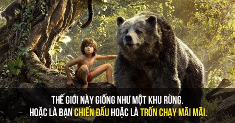 25 trích dẫn hay về cuộc sống