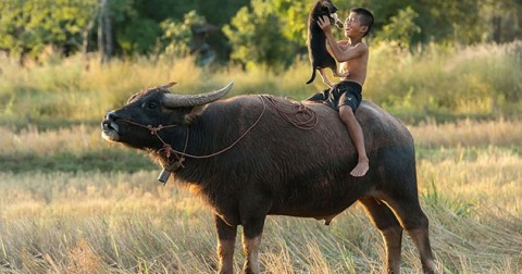 Những thứ mà trẻ con thành phố không bao giờ biết.