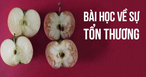 Bài học về sự tổn thương qua câu chuyện 2 quả táo