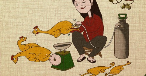 Bộ tranh biếm họa chế tranh Đông Hồ cảnh báo thực phẩm bẩn