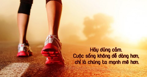 16 trích dẫn hay về cuộc sống