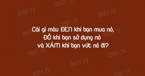 10 câu đố tài tình giúp bạn luyện tập não