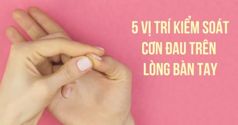 5 điểm trong lòng bàn tay có thể kiểm soát cơn đau của chúng ta