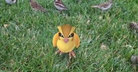 Nhìn những hình ảnh sau đây bạn sẽ thấy Pokemon thật ra cũng rất biết cách chọn nơi xuất hiện