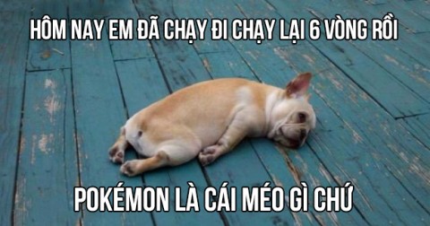 20 bức ảnh hài hước bắt từng khoảnh khắc trong cơn bão Pokémon GO