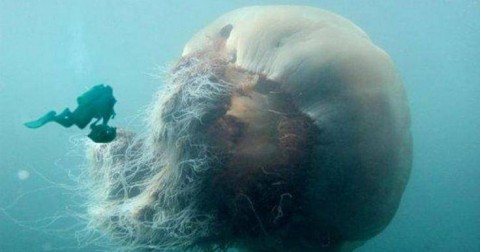 Ngỡ ngàng với 34 hình ảnh kỳ lạ và đáng sợ trên khắp thế giới