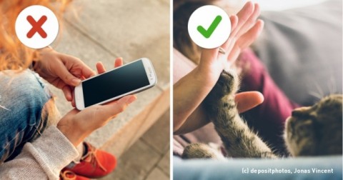 Hãy đặt điện thoại xuống và cảm nhận thế giới xung quanh bạn