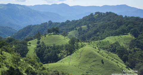 Cảnh đẹp như mơ trong hành trình trekking Tà Năng – Phan Dũng