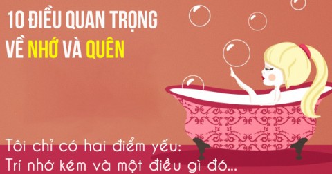 10 điều quan trọng bạn nên biết về việc NHỚ và QUÊN