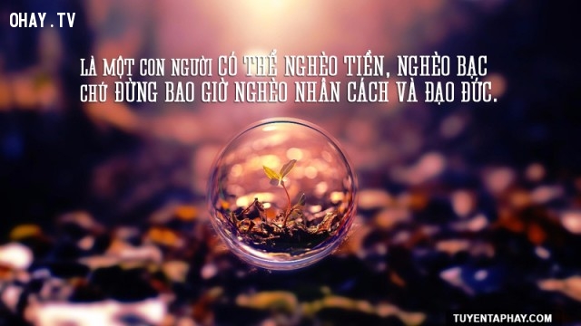 Bạn có nhiều tiền không có nghĩa là bạn giàu hơn người. Bạn có nhiều tiền không có nghĩa là bạn giàu hơn người.,
