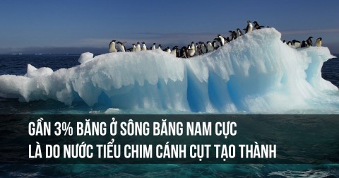 10 sự thật thú vị có thể bạn chưa biết